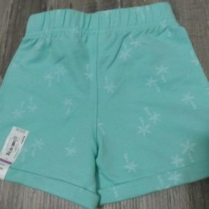 Tropical Palm Trees Shorts